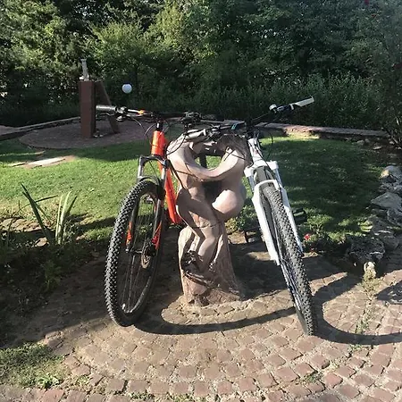 6ato & Wellnes Hotel 4*