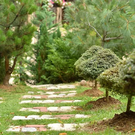 Hotel 6ato & Wellnes 4*