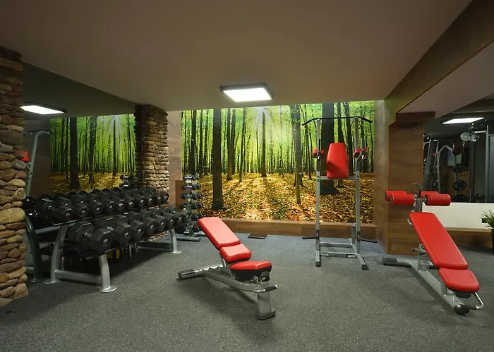 6ato & Wellnes 4* Sofia