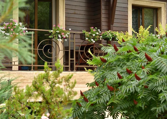 6ato & Wellnes 4* ソフィア