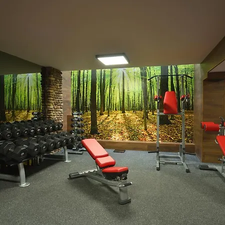 6ato & Wellnes 4* Sofia