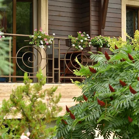 6ato & Wellnes 4* Sofia