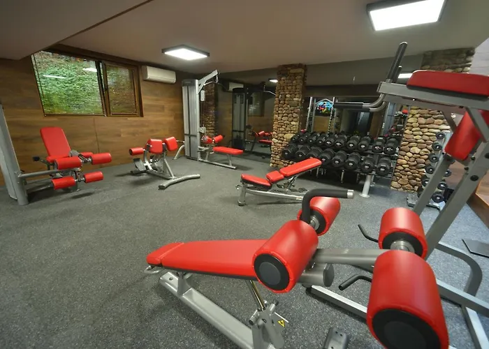 6ato & Wellnes Hotel Sofia